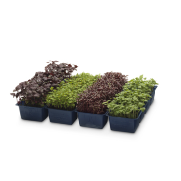 ANL Packaging cresspackaging ANL Packaging cress packaging