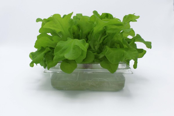 ANL Packaging- LANDWIRT-SCHAFTLICHE INDUSTRIE ANL Packaging- LANDWIRT-SCHAFTLICHE INDUSTRIE